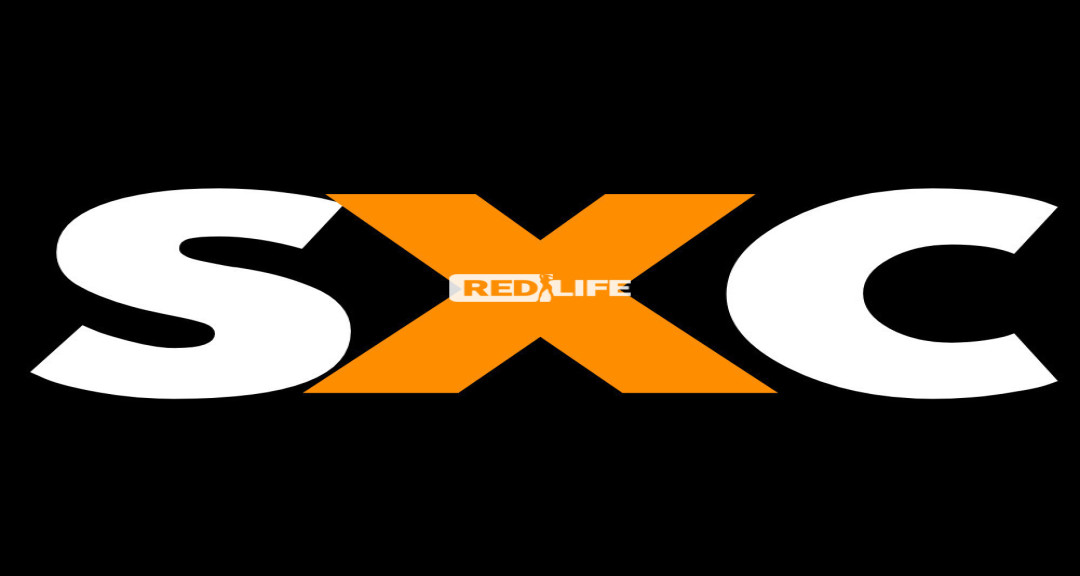 Southxcorts: Elevating Companionship to Excellence