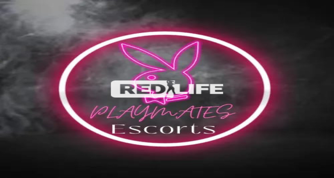 The best female escorts agency