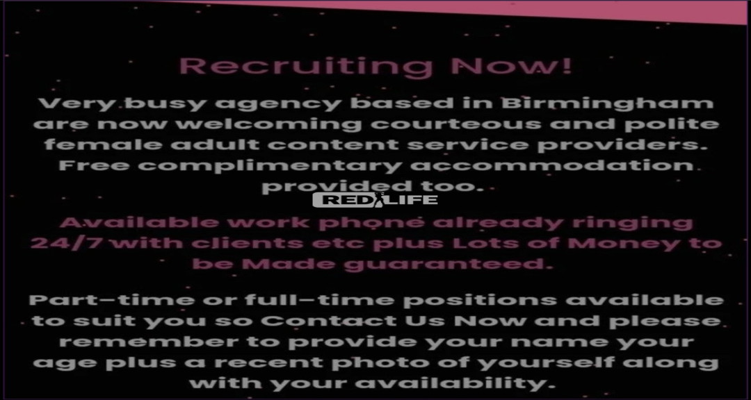 Looking for a great, fun