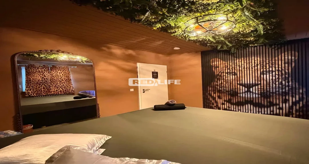 5 private apartments in Germany