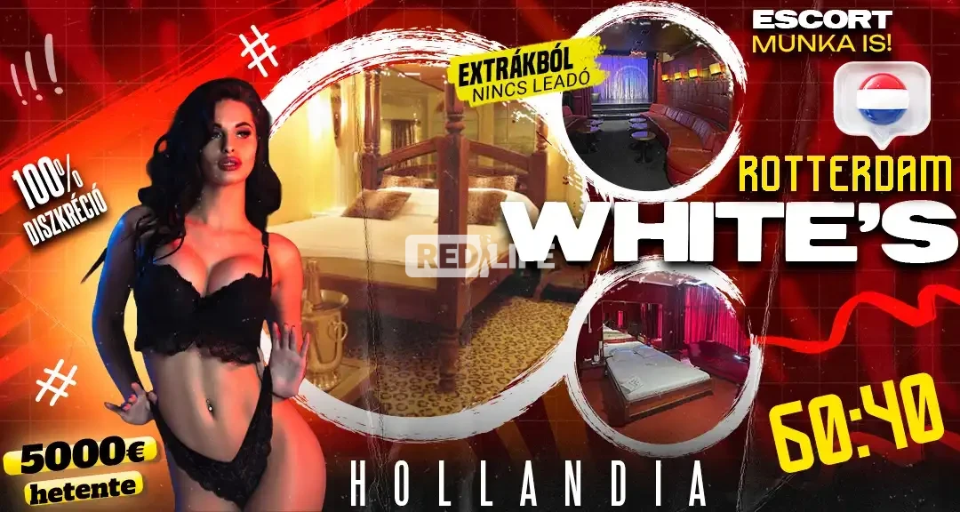 Extra magas kereset Hollandiában, a