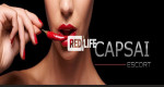 High class Escortlady werden