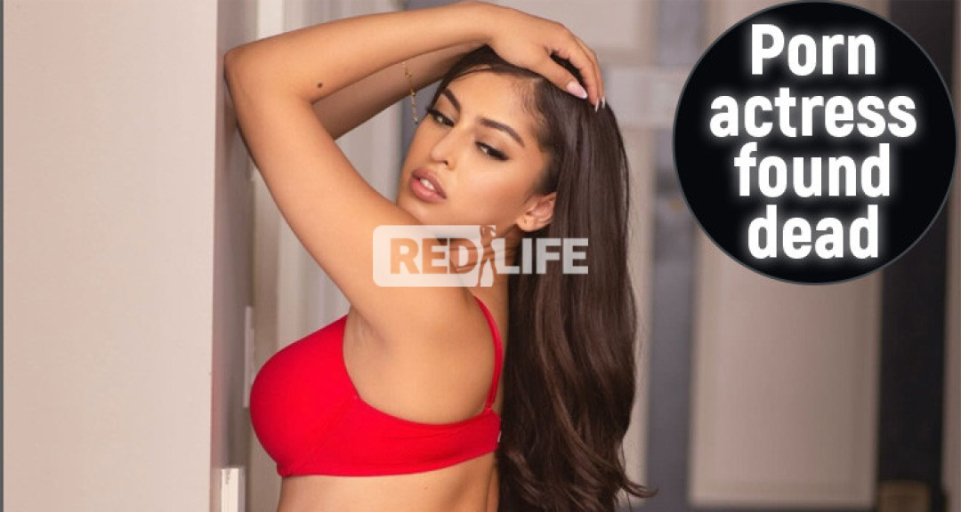 The entire porn industry mourns
