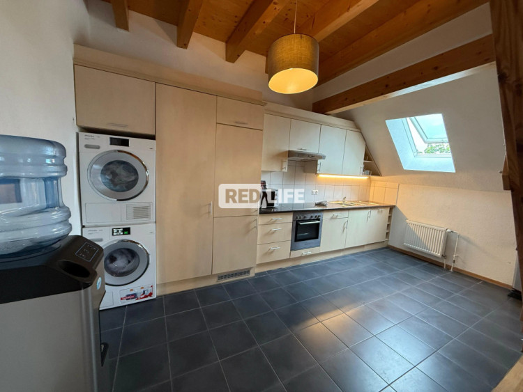 apartments daily fee legal private