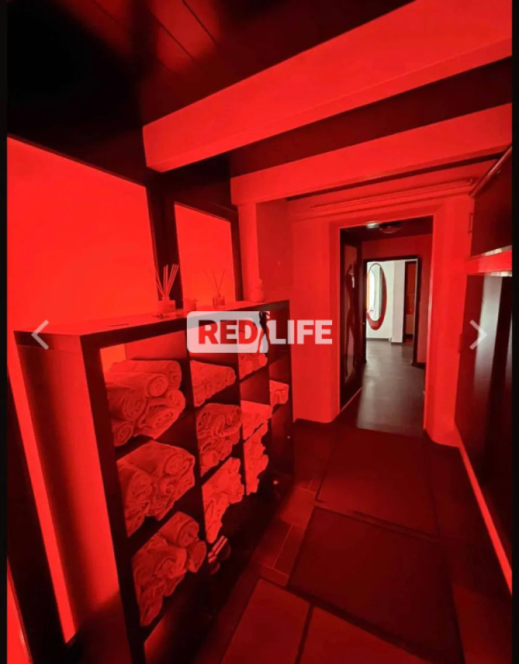 Daily payout erotic studio high